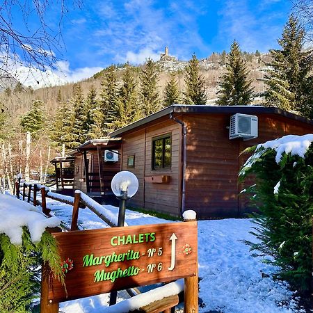 Bijoux Des Alpes - Mont Blanc Village Ла-Саль Экстерьер фото